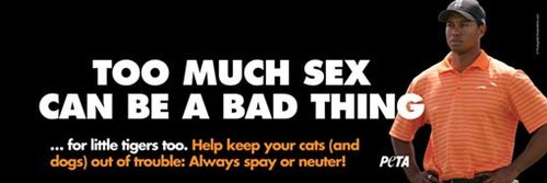 Peta-tiger-ad_510 Peta-tiger-ad_510
